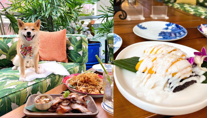 狗狗好去處、寵物友善餐廳、寵物cafe